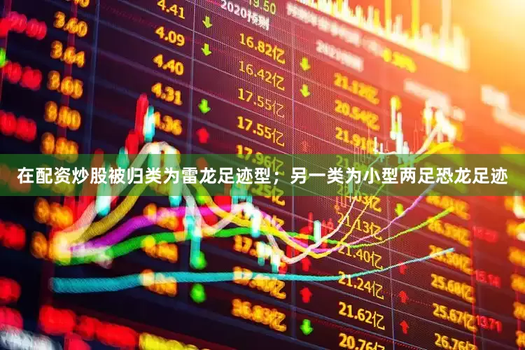 在配资炒股被归类为雷龙足迹型；另一类为小型两足恐龙足迹