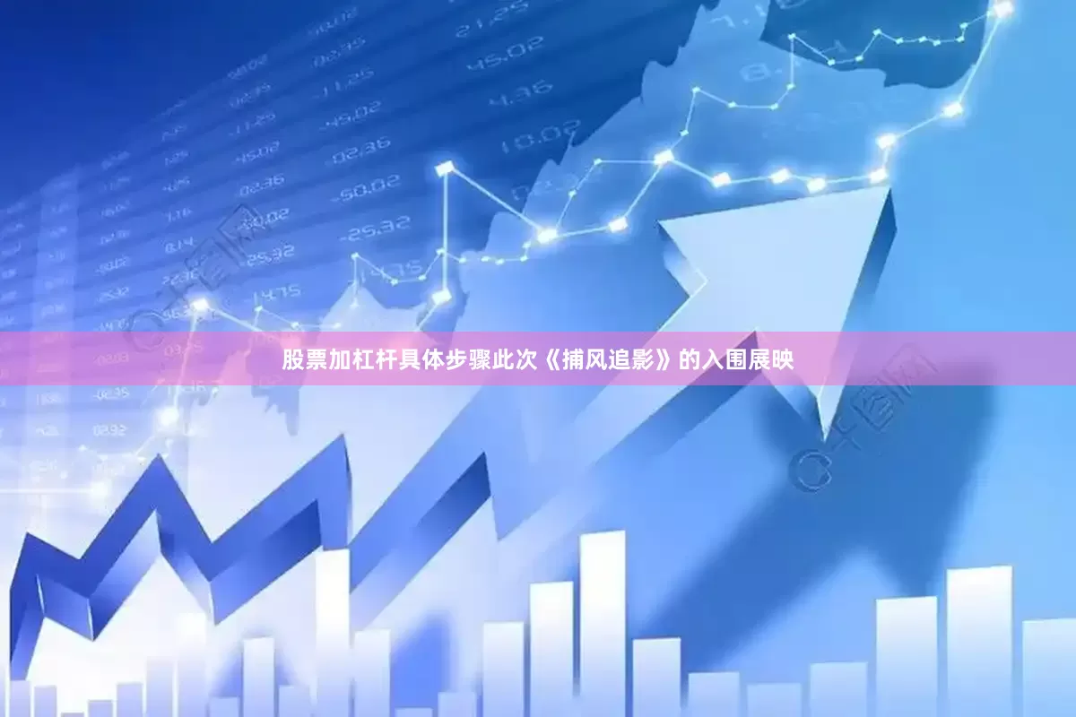 股票加杠杆具体步骤此次《捕风追影》的入围展映