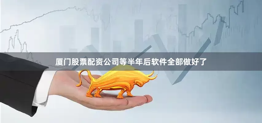 厦门股票配资公司等半年后软件全部做好了